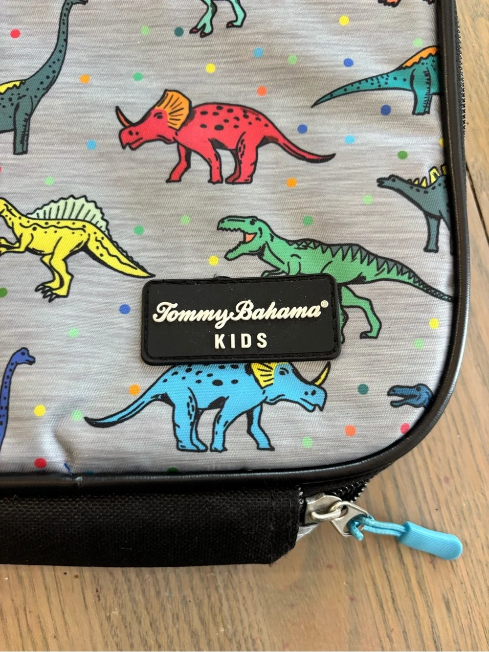 Tommy Bahama Kids Gray Backpack with Multicolor Dinosaur Print